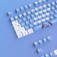 Ayanami Rei 104+21 PBT Dye-subbed Keycaps Set Cherry Profile for MX Switches Mechanical Gaming Keyboard